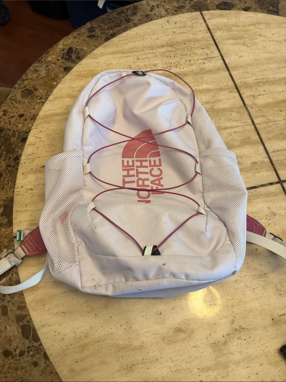 The North Face Lavender Backpack with Pink Logo and Cords